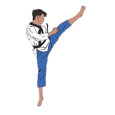 Taekwondo